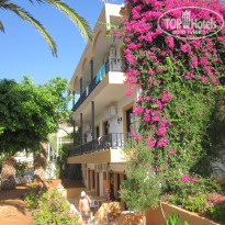 фото из отзыва ID 1396548