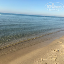 фото из отзыва ID 1396143