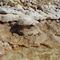 фото из отзыва ID 1396798