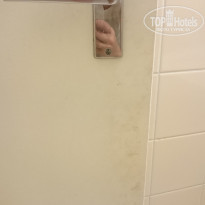 фото из отзыва ID 1396821