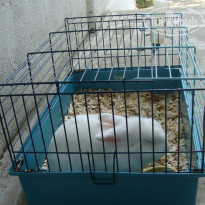 фото из отзыва ID 1392226