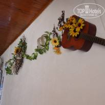 фото из отзыва ID 1392226