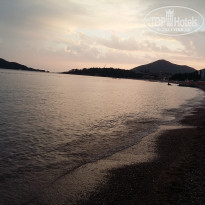 фото из отзыва ID 1396976