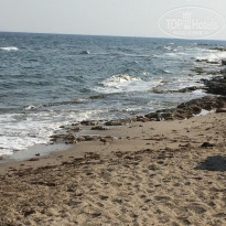 фото из отзыва ID 1396351