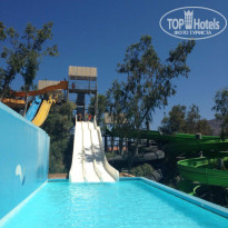 фото из отзыва ID 1396979