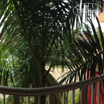 фото из отзыва ID 1397035