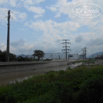 фото из отзыва ID 1397161