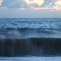 фото из отзыва ID 1397161