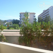 фото из отзыва ID 1397258