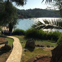 фото из отзыва ID 1397263