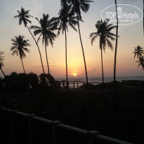 фото из отзыва ID 1397318