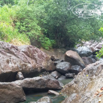 фото из отзыва ID 1397318