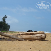 фото из отзыва ID 1397318