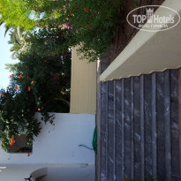 фото из отзыва ID 1397471