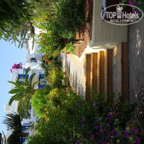 фото из отзыва ID 1397471