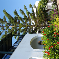 фото из отзыва ID 1397471