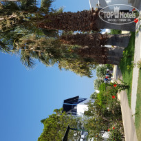 фото из отзыва ID 1397471