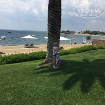 фото из отзыва ID 1397559