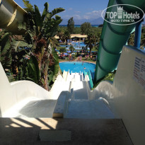 фото из отзыва ID 1397601