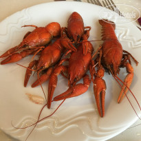 фото из отзыва ID 1397620