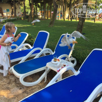 фото из отзыва ID 1397620