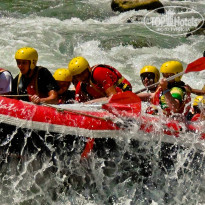 фото из отзыва ID 1397639