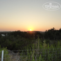 фото из отзыва ID 1397779