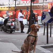 фото из отзыва ID 1397781