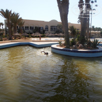 фото из отзыва ID 1397839