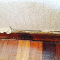 фото из отзыва ID 1397895