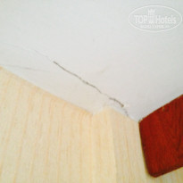 фото из отзыва ID 1397895