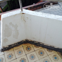 фото из отзыва ID 1397895