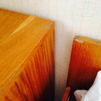 фото из отзыва ID 1397895