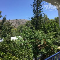 фото из отзыва ID 1397931