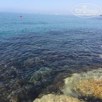 фото из отзыва ID 1397984