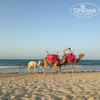 фото из отзыва ID 1398045