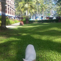 фото из отзыва ID 1398081