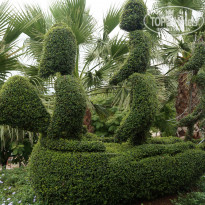 фото из отзыва ID 1398107