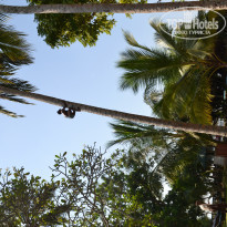 фото из отзыва ID 1398139