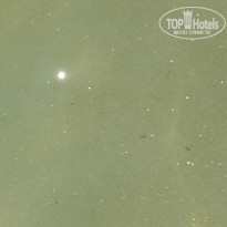 фото из отзыва ID 1398177