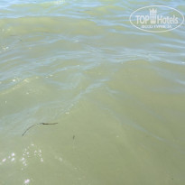 фото из отзыва ID 1398177