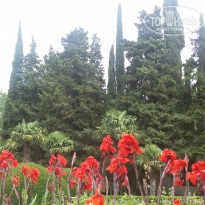 фото из отзыва ID 1398340