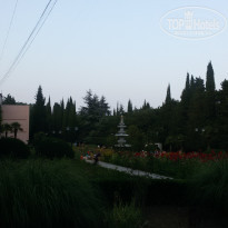 фото из отзыва ID 1398340