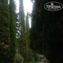 фото из отзыва ID 1398340