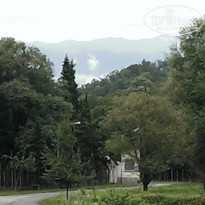 фото из отзыва ID 1398067