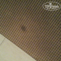 фото из отзыва ID 1398416