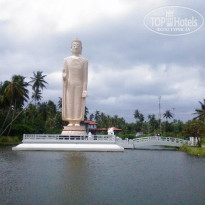 фото из отзыва ID 1398441