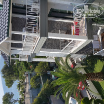 фото из отзыва ID 1398457