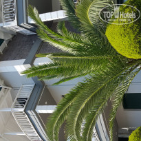 фото из отзыва ID 1398457