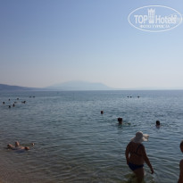 фото из отзыва ID 1398457